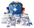Sports First Aid Touchline Kit : Click for more info.